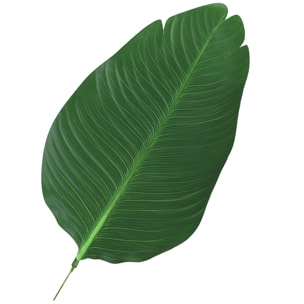 Planta de Decoración Artificial de Palma con Maceta ÃÂ¤15x120 cm