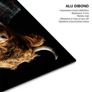 Tableau animaux habillés Highlander wild suits Tableau alu Dibond