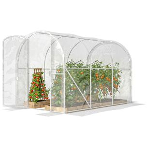 Serre tunnel de jardin 6 m² - 3 x 2 x 2 m - porte - acier galvanisé PE 150 g/m² transparent