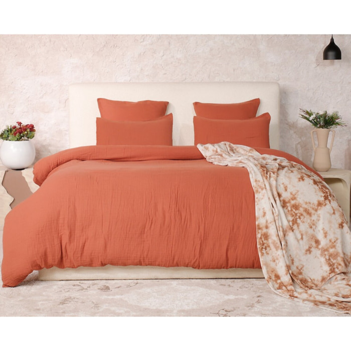 Drap housse coton safran mineral