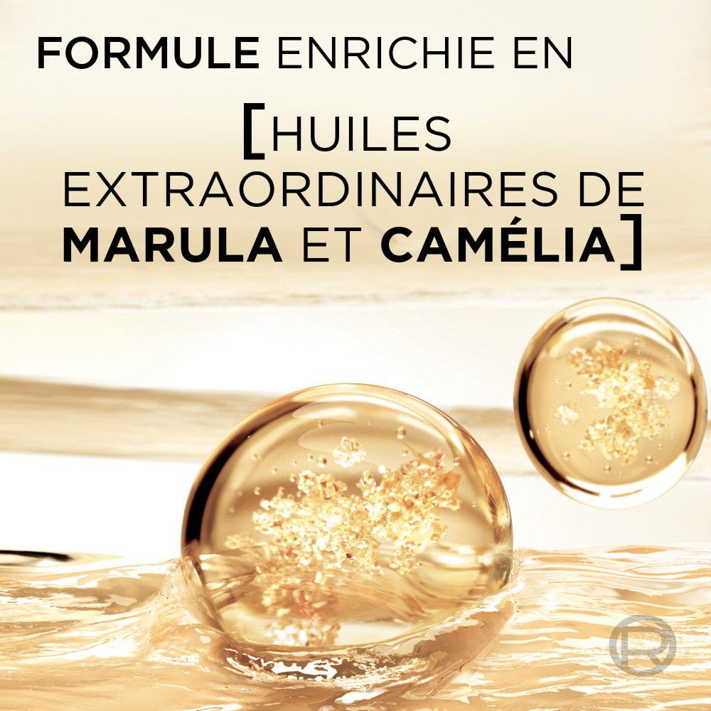 Lot de 12 - L'Oréal Paris Elseve Huile Extraordinaire Shampooing Nutrition Eclat Huiles Rares de Marula et Camélia 250ml
