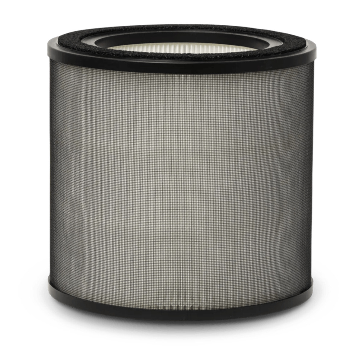 AEG Filtro de protección contra olores y gases Filtro para Multi 7000 AFFBTH2