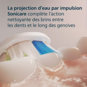 Brossette dentaire PHILIPS Sonicare lot de 4 - HX6064/87 white Optimal W2