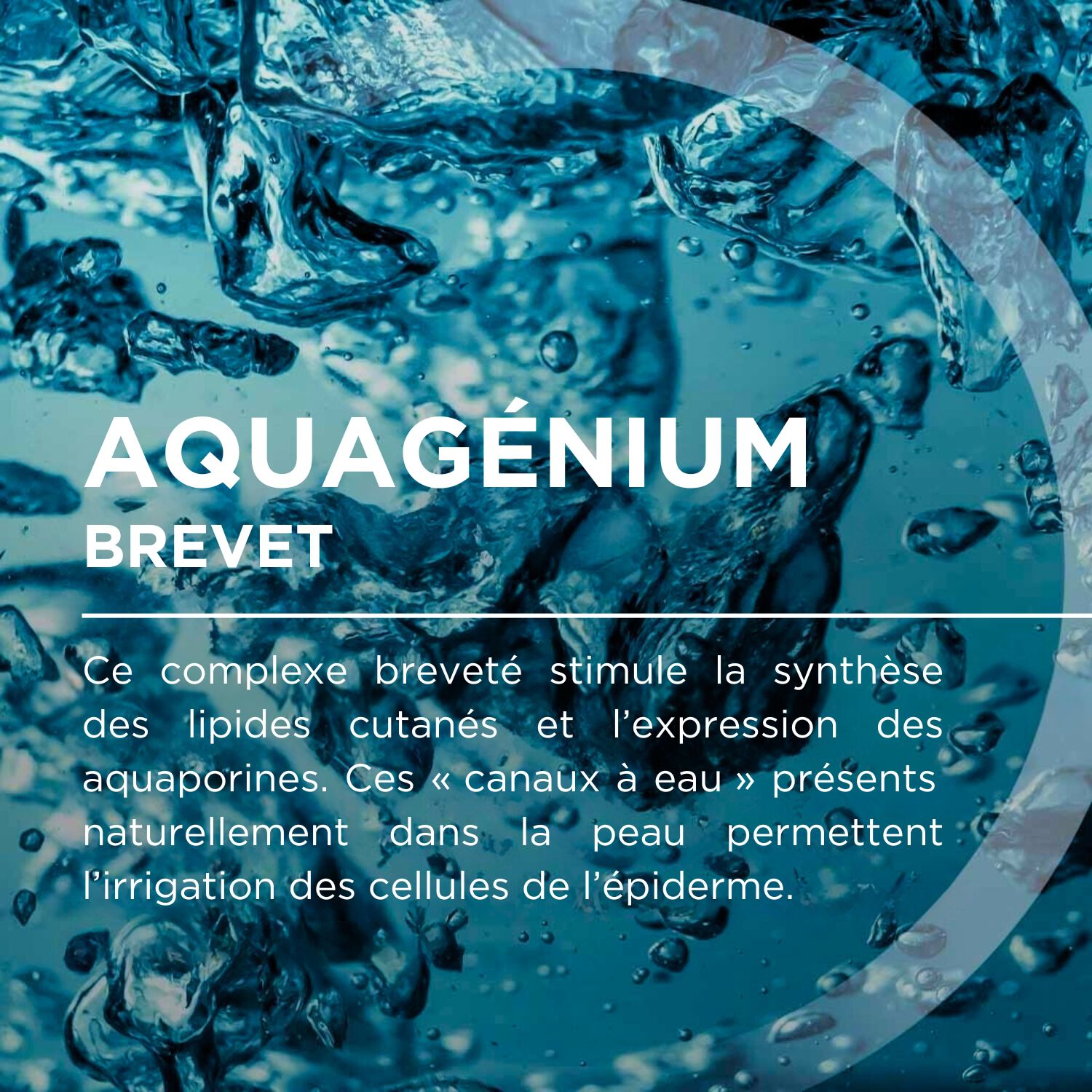 Hydrabio Hyalu+ Serum - Concentré repulpant auto-réhydratant