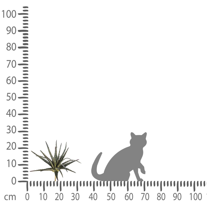 Aloe. Altezza 24 Cm - Pezzi 6 - 27X24X27cm - Colore: Verde - Bianchi Dino - Piante Artificiali