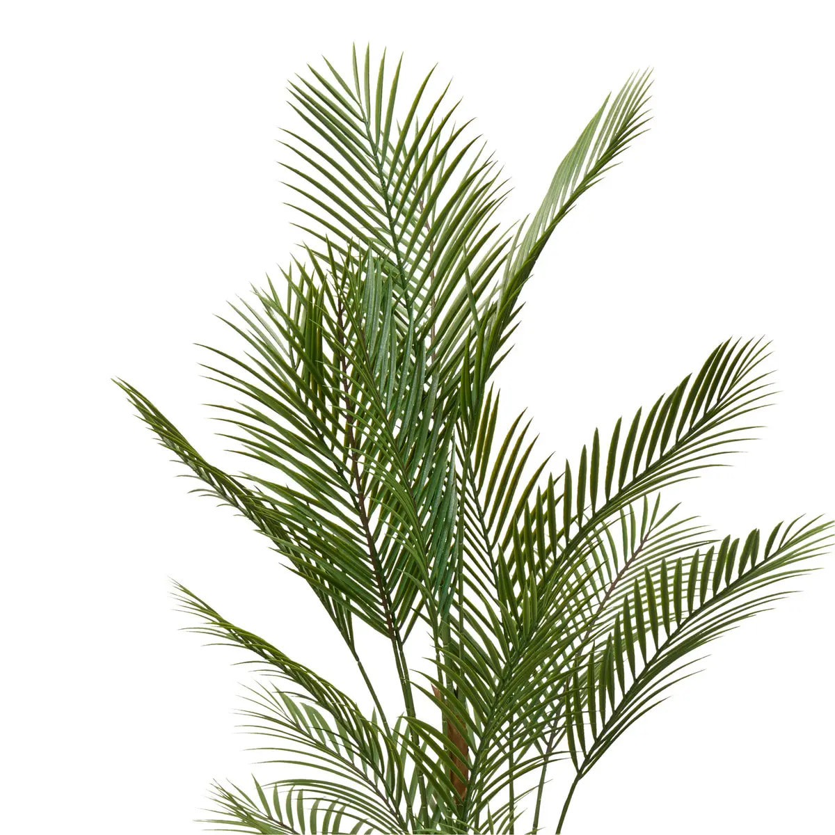 Palmier artificielle Merlo 187 cm avec Pot Blanc