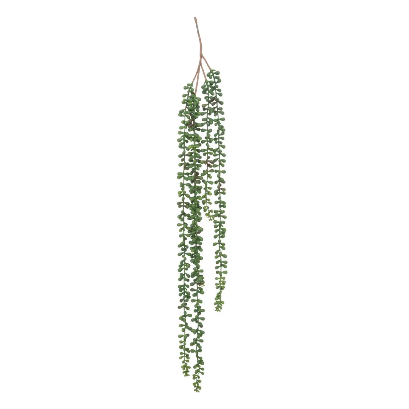 Plante artificielle tombante de senecon H37cm