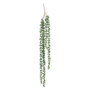 Plante artificielle tombante de senecon H37cm