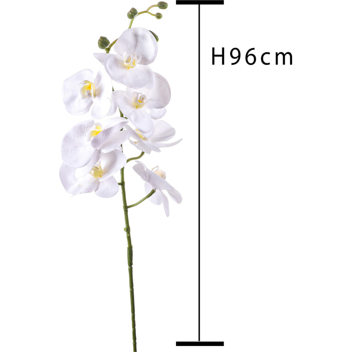 Phalaenopsis Con 7 Fiori. Altezza 96 Cm - Pezzi 6 - 14X96X8cm - Colore: Bianco - Bianchi Dino - Fiori Artificiali