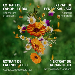 WELEDA - Skin Food Crème de Jour nourrissante + Crème de Nuit nourrissante - Pour les peaux sèches - Hydrate immédiatement et nourrit instantanément  - Natrue* - Vegan*** - 2x40 ml