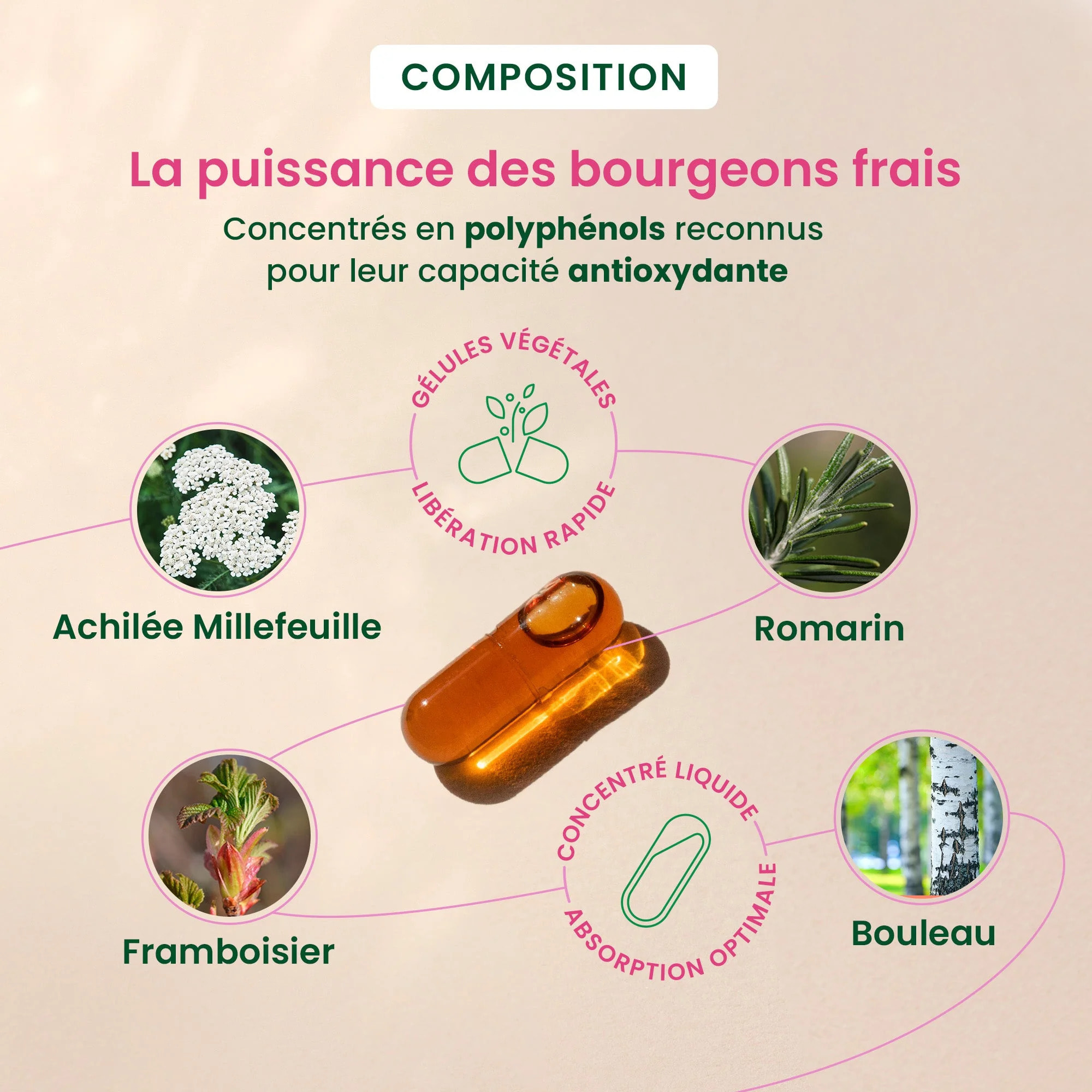 Herbalgem- Complément alimentaire SPM & confort menstruel - Bio - 30 GELULES
