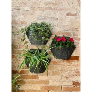 Maceta de pared autorriego hexagonal con 2 plantas colgantes