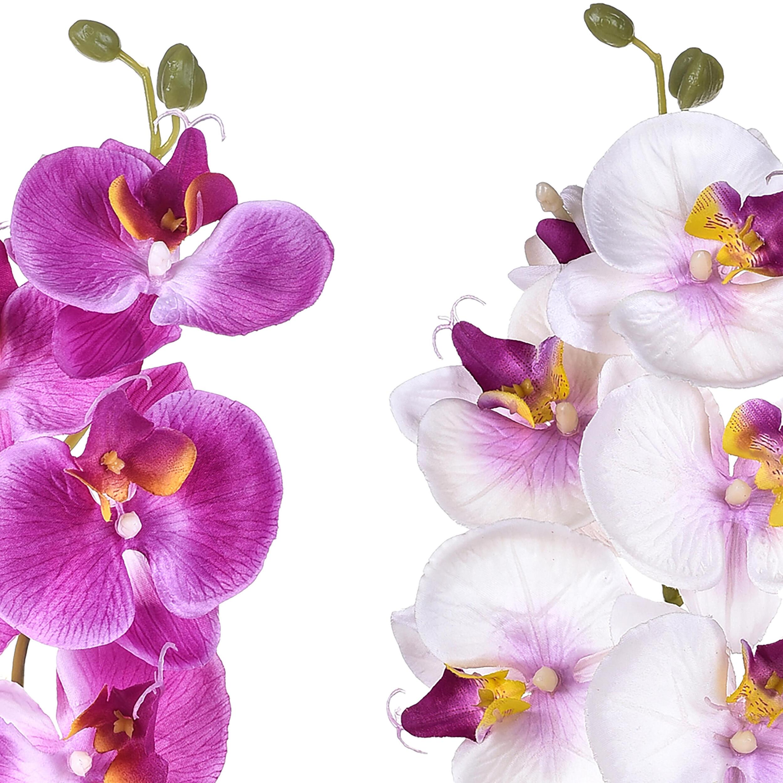 Phalaenopsis Con 8 Fiori. Altezza 65 Cm - Pezzi 12 - 14X65X8cm - Colore: Multicolore - Bianchi Dino - Fiori Artificiali