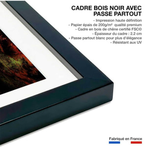 Affiche nature chute d'eau Affiche + cadre en bois - Noir