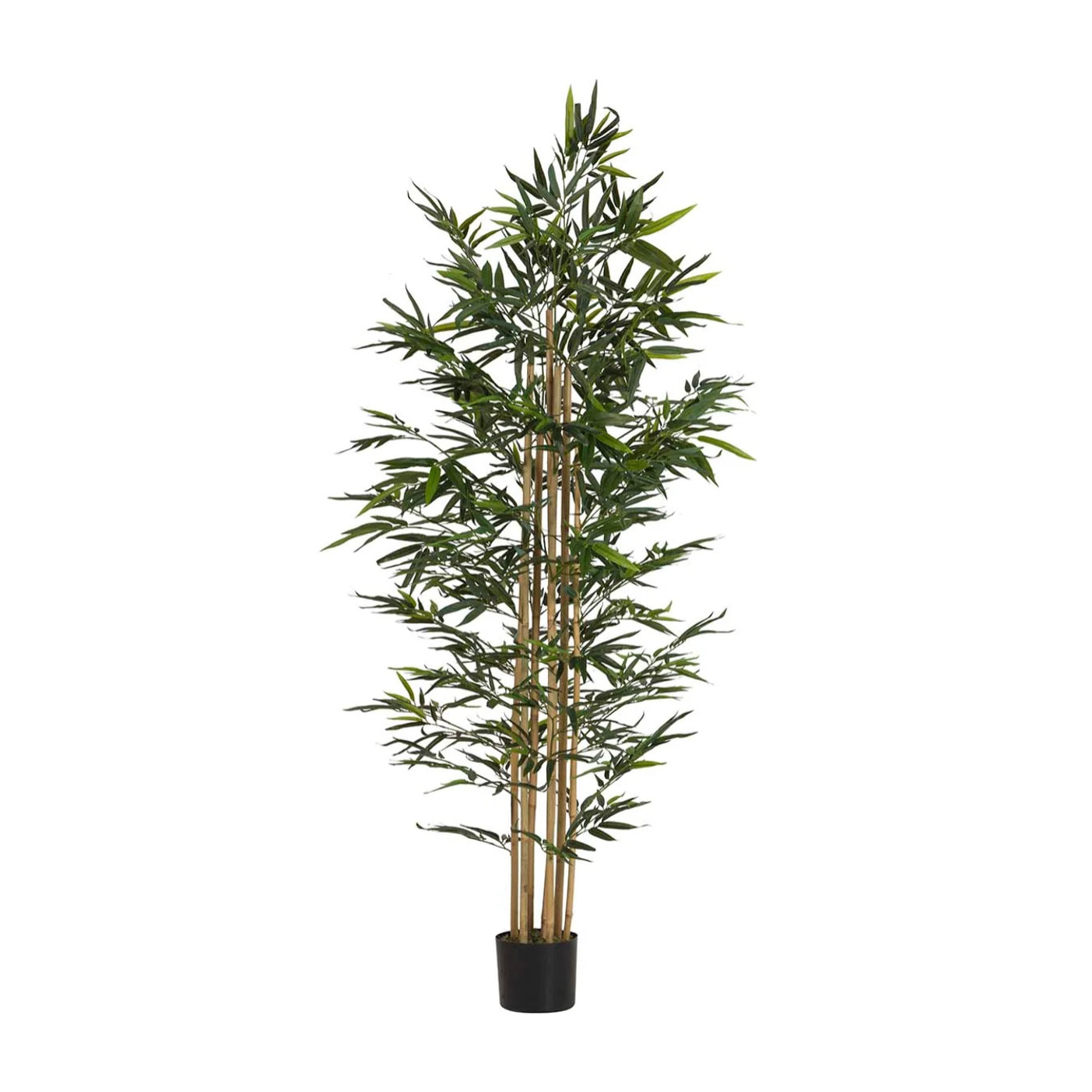 Planta Bamboo Con Maceta 80x80x192 Cm