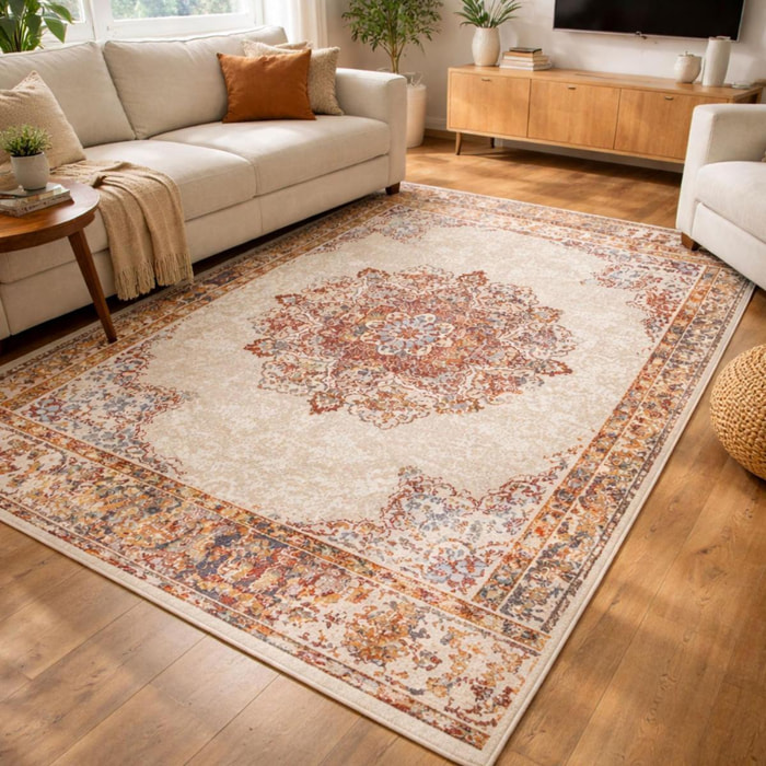 Tapis salon Rectangulaire Oriental