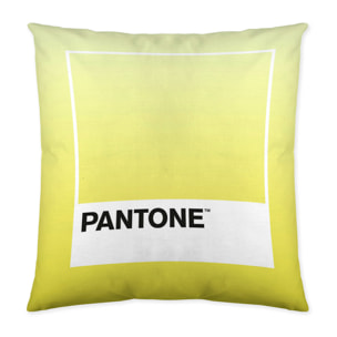 Pantone - Funda de Cojín Estampado - Con Cremallera - Sin relleno - 100% Algodón - Ombre C