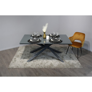 Table extensible plateau en verre gris 160/240 cm - TWIST