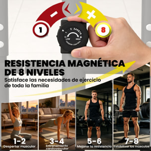 Bicicleta Elíptica para Casa, Máquina Elíptica Silenciosa con Bluetooth Compatible con App, 8 Niveles de Resistencia Magnética, Monitor LCD y Sensor de Pulso, Ruedas, Carga 120 kg