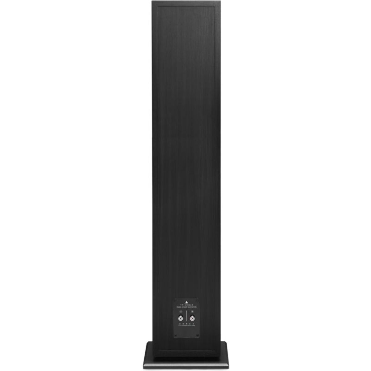 Enceinte colonne TRIANGLE Borea BR09 noire (x1)
