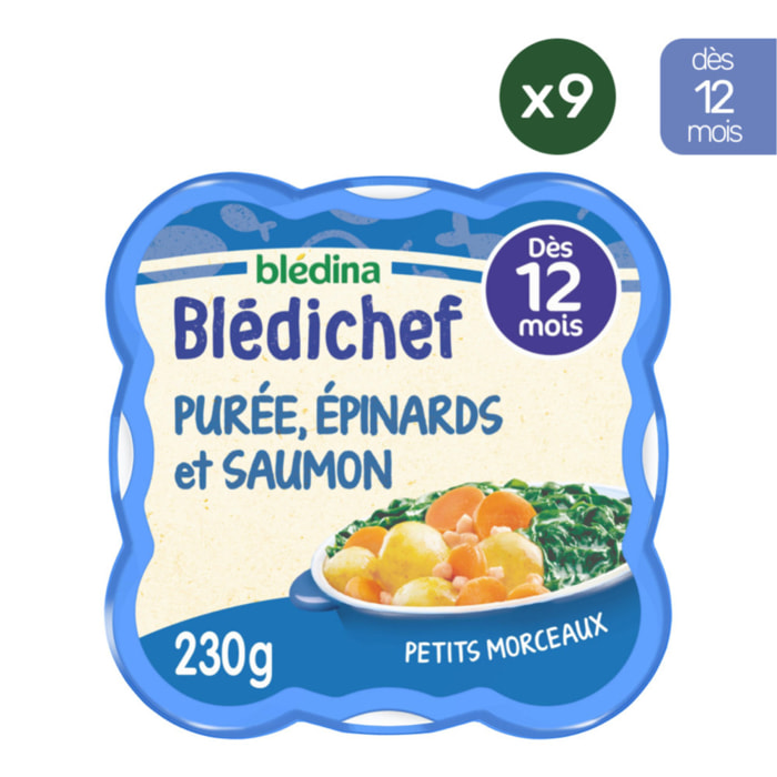 9 Assiettes Purée Epinards et Saumon du Pacifique - Bledina Bledichef - Dès 12 mois