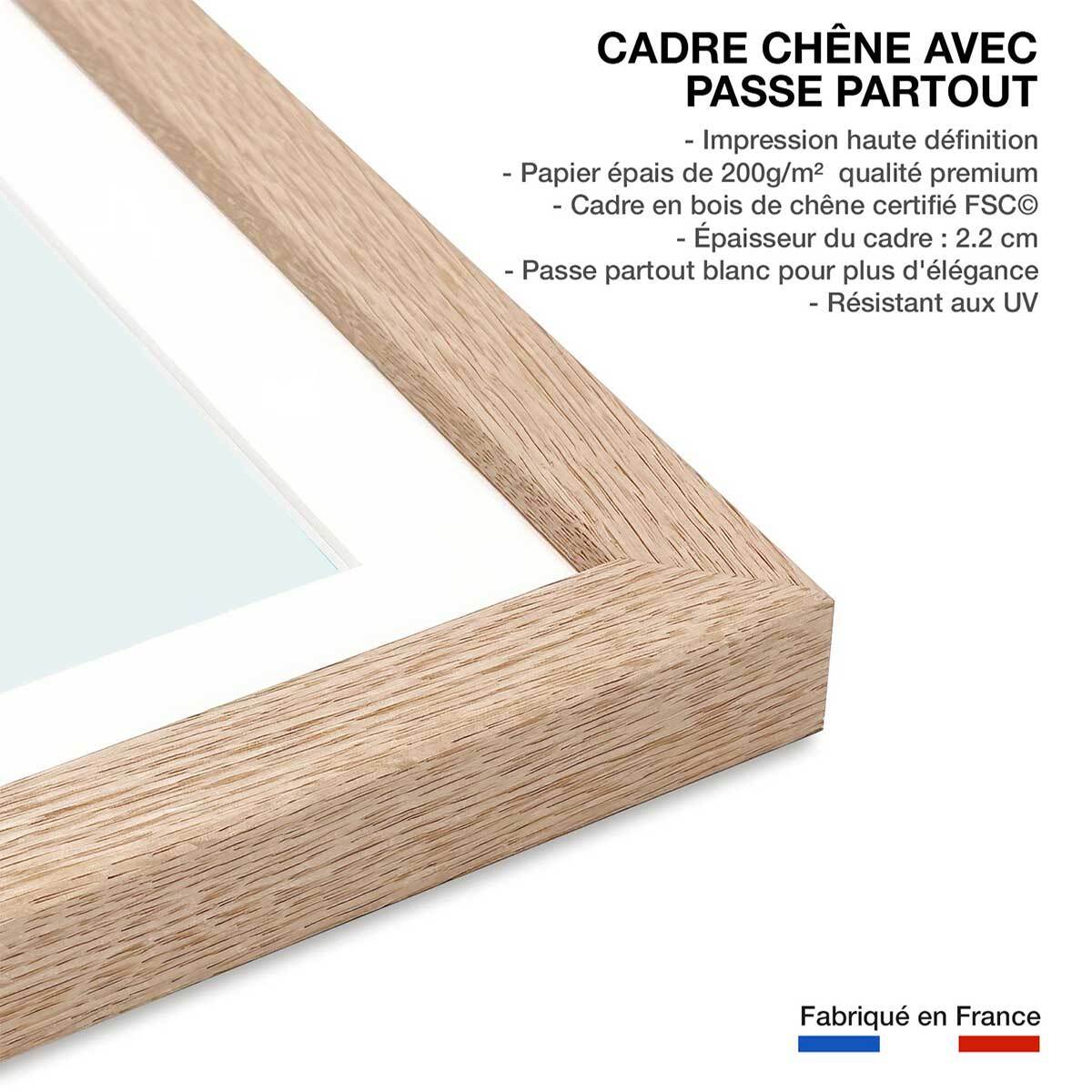 Affiche enfant tortue verte  Affiche + cadre en bois - Chêne