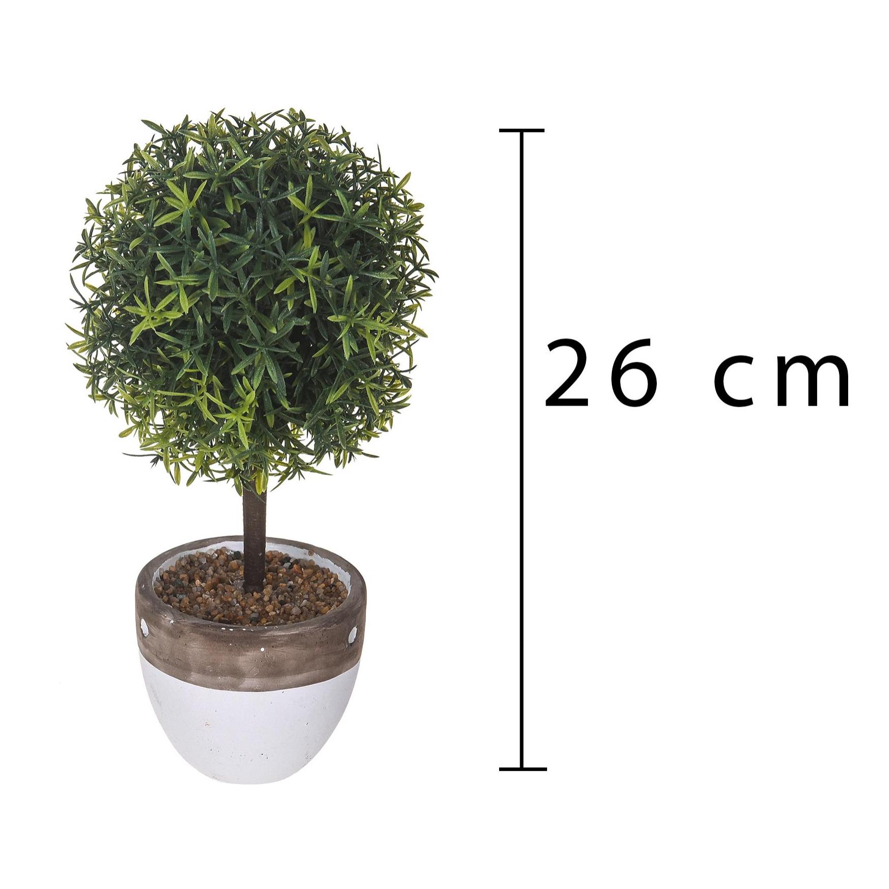 Topiary Springeri. Altezza 26 Cm - Pezzi 3 - 13X26X13cm - Colore: Verde - Bianchi Dino - Piante Artificiali