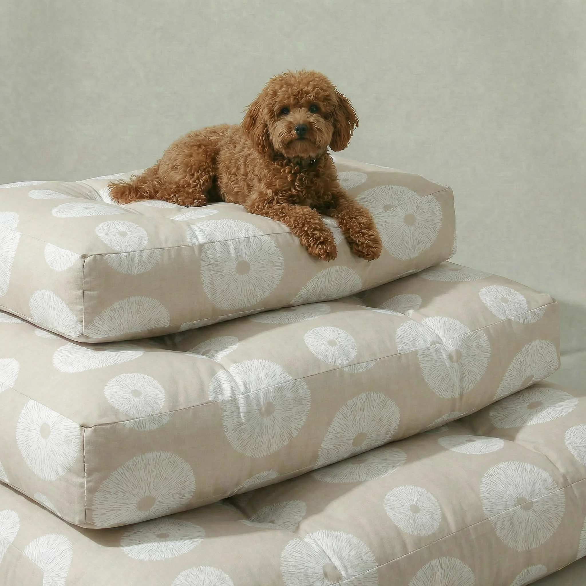 Lit pour animaux antitaches Lolani