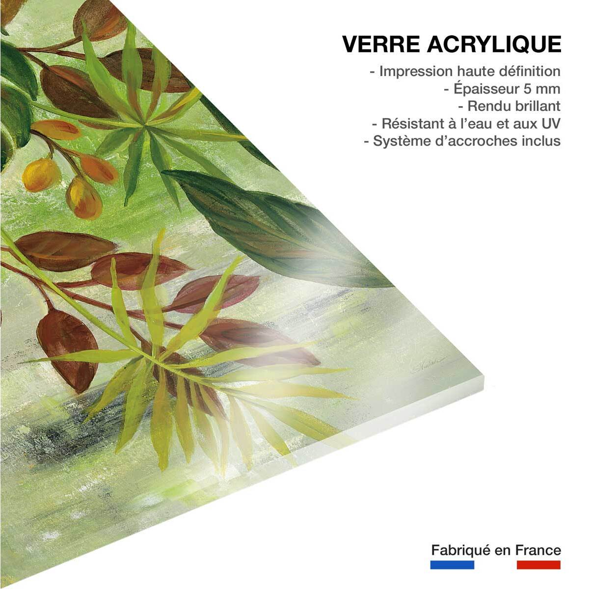 Tableau Feuillage tropical Tableau plexiglas