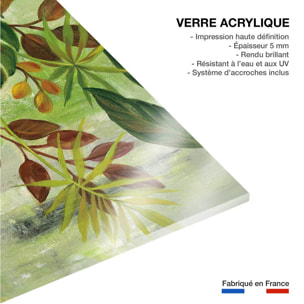 Tableau Feuillage tropical Tableau plexiglas