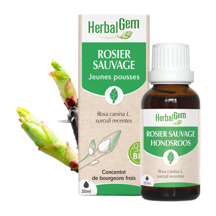 Herbalgem- Bourgeon de Rosier sauvage - Bio - 30 ml