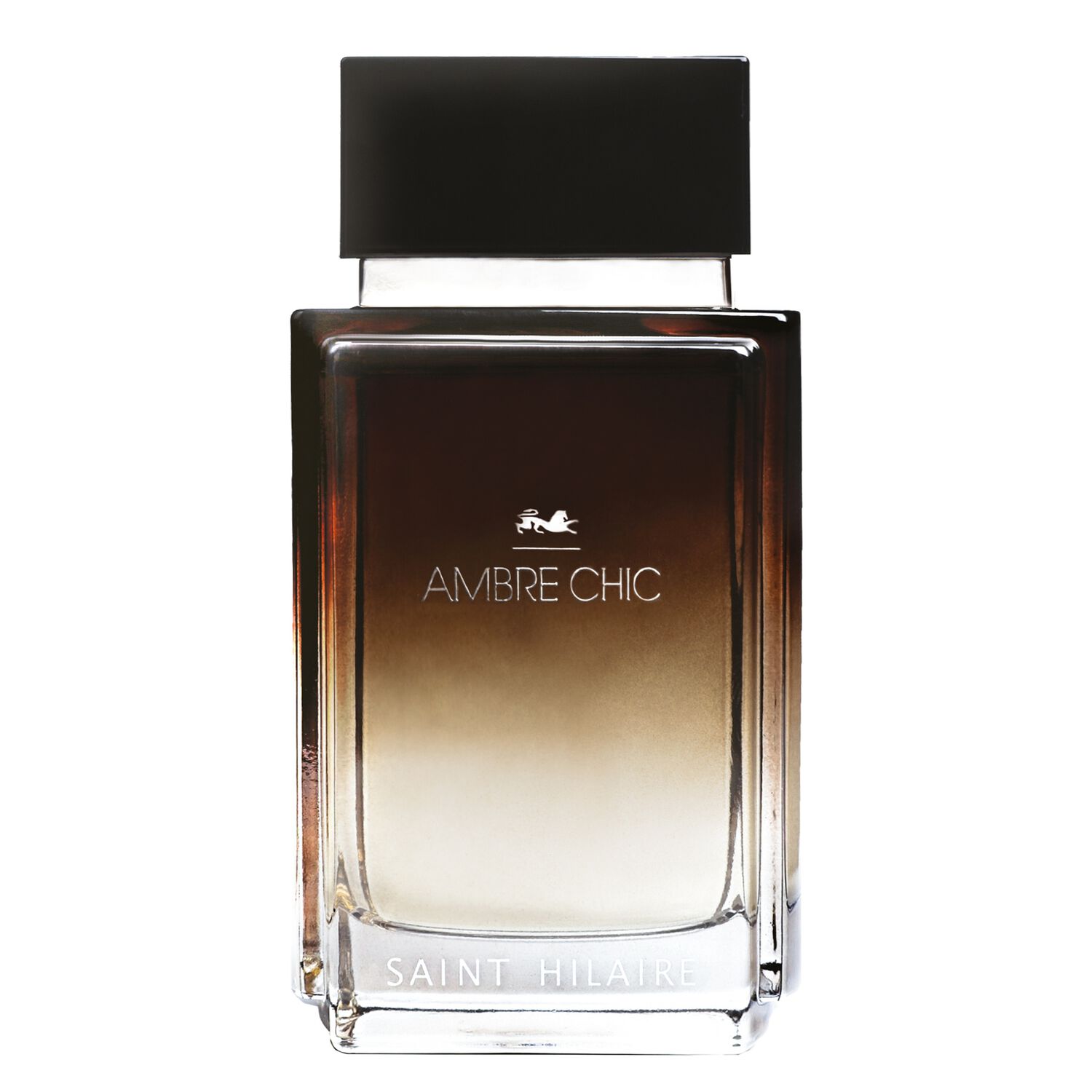 Ambre Chic - Eau de Parfum 100 ml