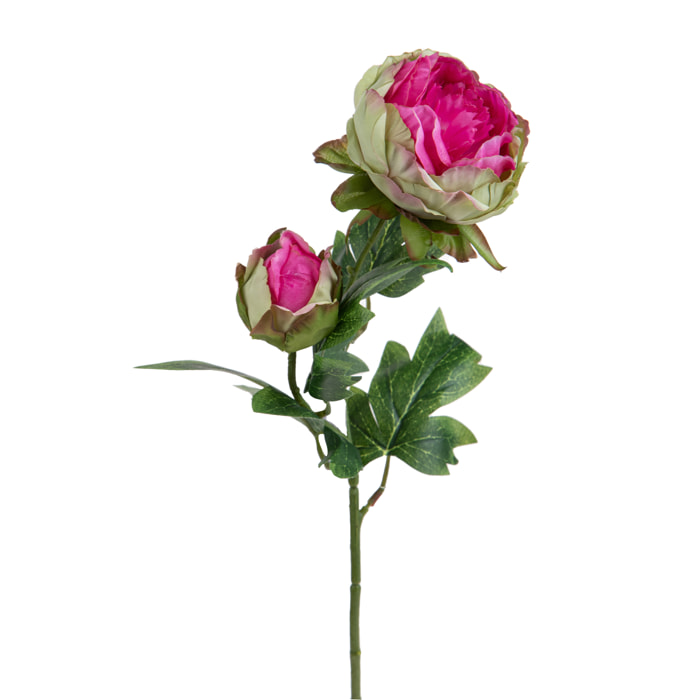 Peonia Per 2 Fiori 60 Cm - Pezzi 6 - 17,8X60X27,9cm - Colore: Rosa - Bianchi Dino - Fiori Artificiali