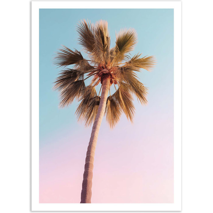 Affiche - Hollywood Palm - Philippe Hugonnard