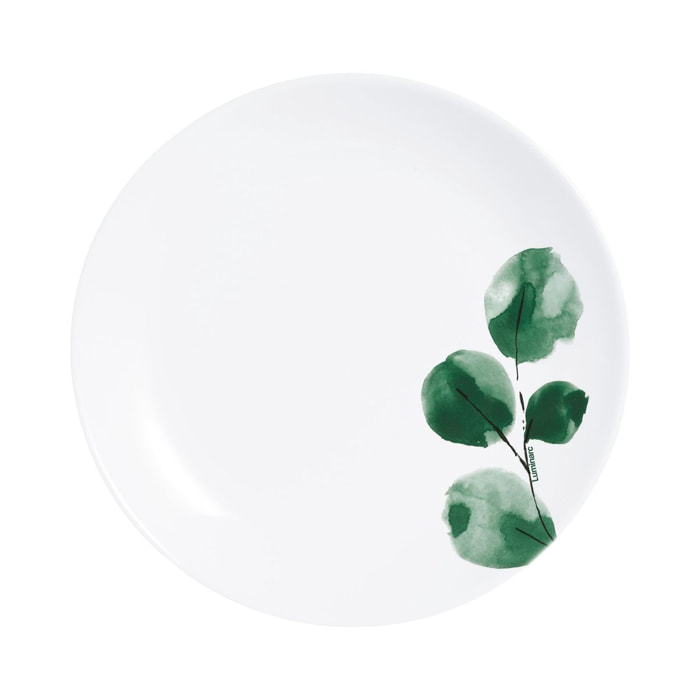 6 Platos de postre 19 cm Eucalyptus - Luminarc