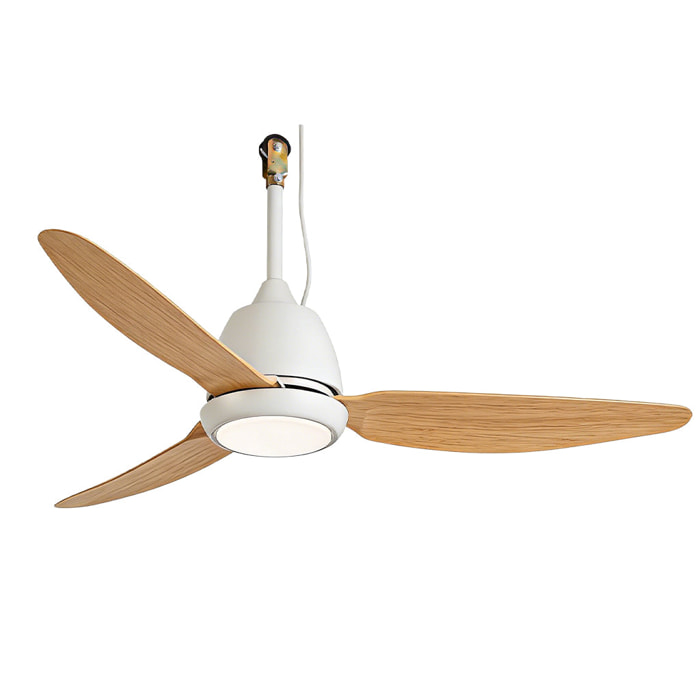 Ventilateur Plafond LED CORALI D106CM