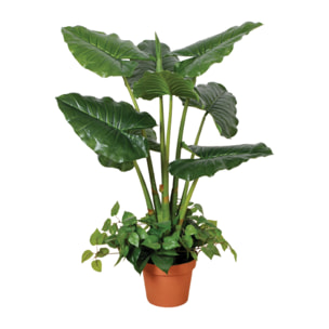 Planta Artificial Taro 100 Cm