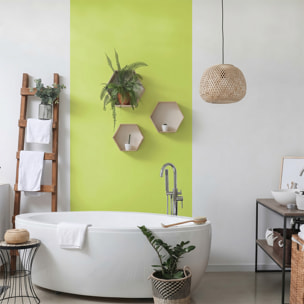 Rouleau adhésif décoratif Vinyle au Mètre - Vert pastel - Sticker Lavable Imperméable Mur Cuisine Meubles