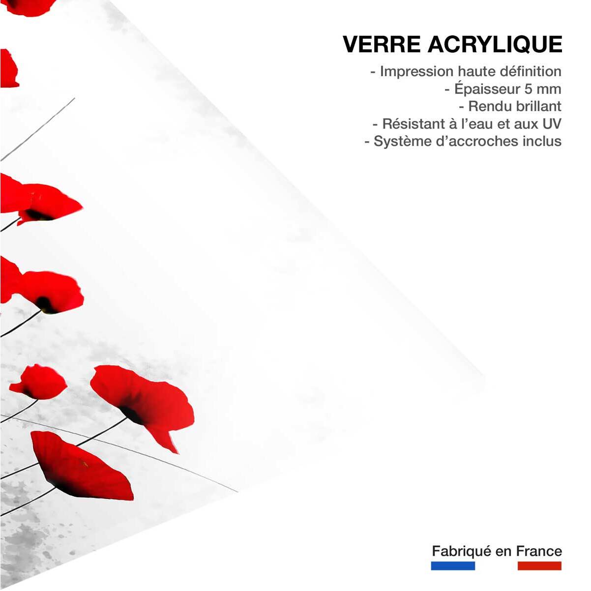 Tableau design coquelicots gris  Tableau plexiglas