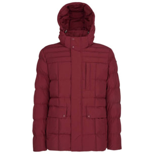 Chaquetas Hombre de la marca GEOX  modelo M HILSTONE Bordeaux