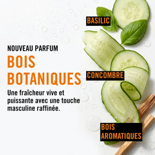 Oil Control - Shampooing Anti-Sébum 250 ml