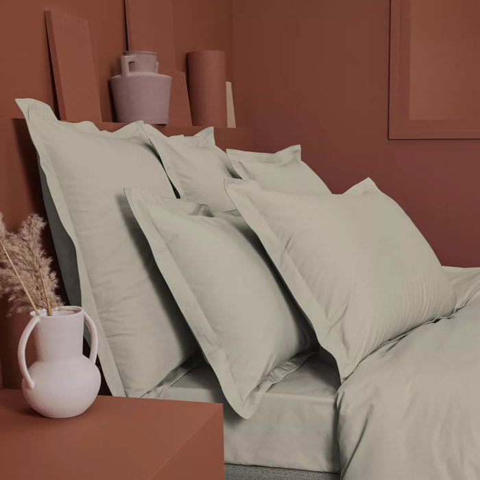 Drap housse b40 percale de coton uni beige La percale francaise lin