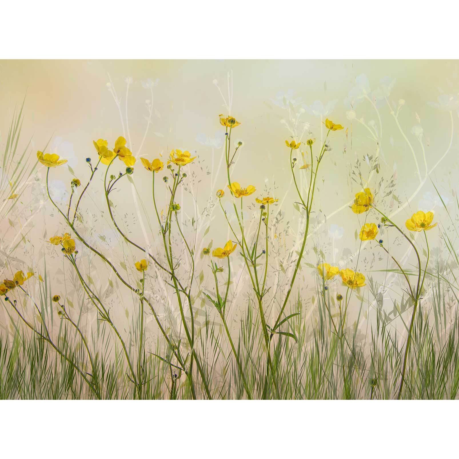 Papier peint fleurs jaunes Intissé