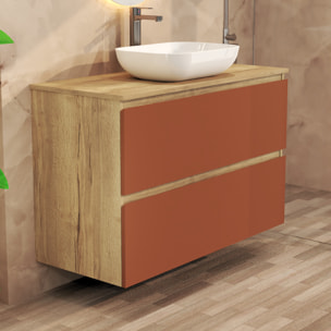Conjunto de Baño Nia | Mueble Suspendido | 100 cm Scarlato | Dos Cajones | Lavabo Sobrepuesto | No incluye Espejo | Mueble Montado| Alday