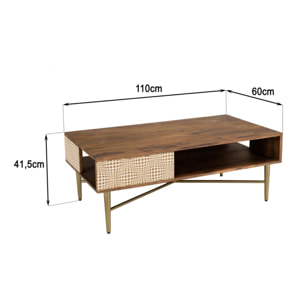 ALIX - Table basse rectangulaire en bois de manguier 2 niches