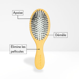 Brosse Thérapeutique - Brosse Anti-Pellicules