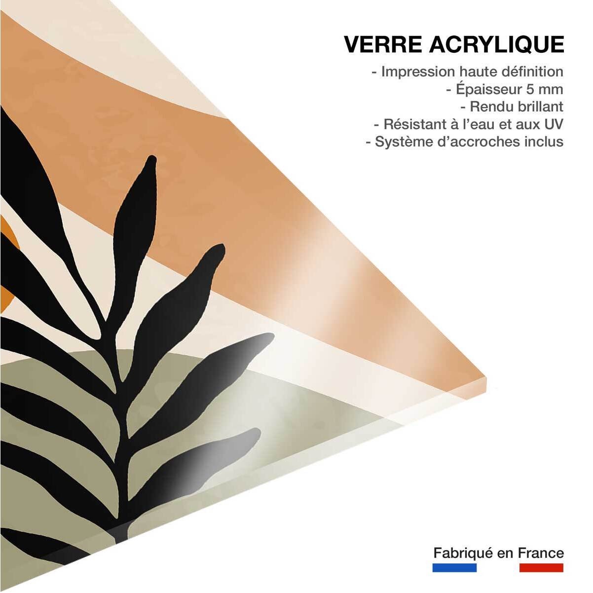 Tableau contemporain fleurs alchemille  Tableau plexiglas