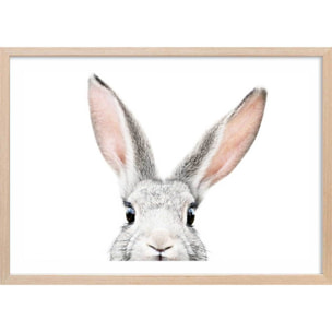 Affiche enfant lapin  Affiche + cadre en bois - Chêne