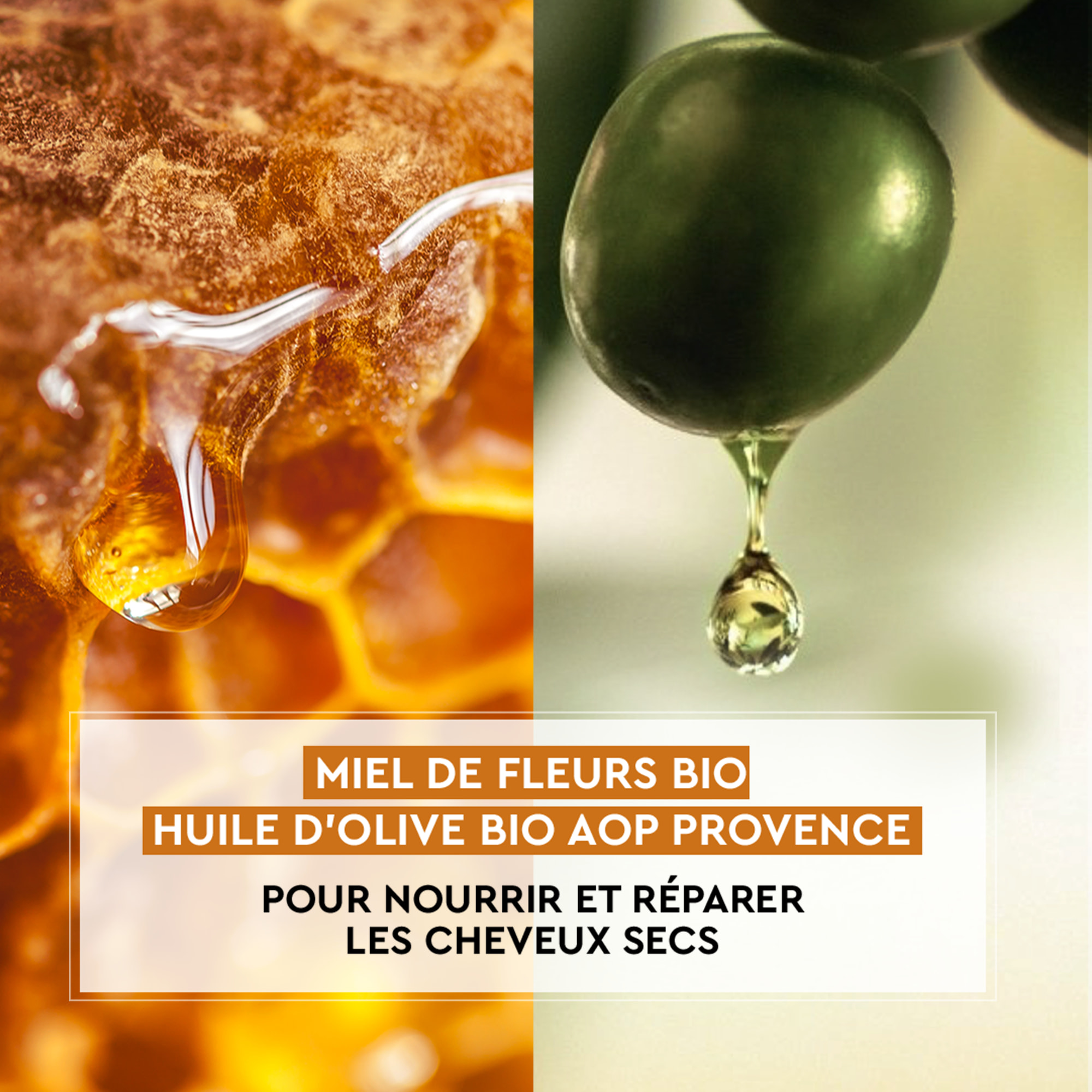 Routine de Miel Cheveux Secs Nutrition Riche Certifiée Bio