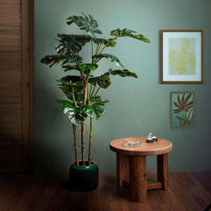 Monstera con vaso - Pezzi 1 - Colore: Verde - 28xH180x18cm - Bianchi Dino